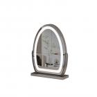 30*40cm 大型楕円形化粧鏡、LEDストリップ付き、360度回転、3つのライトモードタッチ、調光可能な明るさ、プラグイン使用、シルバースタンド