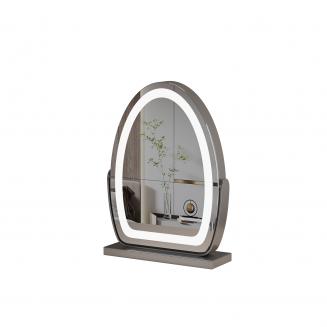 30*40cm 大型楕円形化粧鏡、LEDストリップ付き、360度回転、3つのライトモードタッチ、調光可能な明るさ、プラグイン使用、シルバースタンド