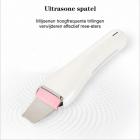 8-in-1 Hydro Facial Zuurstof-Dermabrasieapparaat met RF BIO-Lifting – Diepe Gezichtsreiniging met Krachtige Pomp voor Spa en Schoonheidssalon