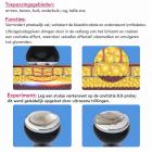 3in 1 80K Ultrasoon Cavitatieapparaat – Afslanksysteem en Lichaamsmassageapparaat voor Vetverbranding en Cellulite