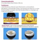 80K 3in1 Kavitation Maschine, Ultraschall Körperformungssystem, Fettverbrennender Cellulite Körpermassager