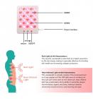 30LED Mini Rød & Infrarød Lysterapilampe - Dobbelt Bølgelængde til Ungdomsagtig Hud & Smertelindring