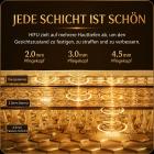 HIFU – FacialDefy 2.0 Pro, Professionelles HIFU Gerät für Gesichtslifting & Hautstraffung, Handgehaltenes Mikro-Ultraschall Hautverjüngungsgerät