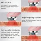 Appareil de beauté professionnel 6-en-1 EMS, LED et électroporation – lifte la peau, optimise l’absorption des sérums, revitalise le teint, et aide à réduire l’acné et les rides à domicile