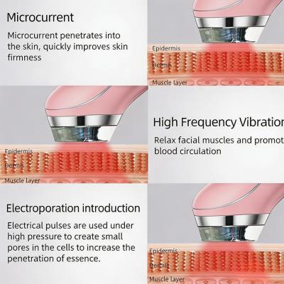 Este dispositivo profesional de electroporación LED EMS 6 en 1, importado, ayuda a reafirmar y tonificar la piel, favorece la absorción de sérums y la revitaliza. Permite tratar el acné y las arrugas en casa.