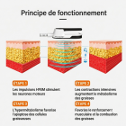 Appareil EMS NEO de Modelage Corporel – Appareil RF EMS de bureau à deux poignées pour le ventre, la taille, les bras et les jambes – tonification musculaire, raffermissement et réduction des graisses