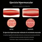Dispositivo para modelar el cuerpo EMS NEO, con dos mangos y un diseño compacto de sobremesa para uso doméstico. 