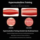 EMS NEO Körperformungsgerät – Professionelles RF & EMS Body Sculpting Gerät mit Zwei Griffen für Bauch, Taille, Arme und Beine – Muskelaufbau & Fettabbau für Zuhause und Studio