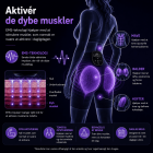 FREYARA EMS-BodyFirming J12, EMS & TENS Dual-Pulse Sculpting Shorts, 8 tilstande & varme for synligt løft, opstramning & styrkelse af kernemuskulaturen
