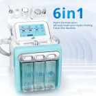 Machine De L'Oxygène Hydrafacial Beauté, Instrument De Beauté À Bulles, 6 en 1 Eau Oxygène Hydrafacial Machine, Profond Nettoyage Exfoliant Dermabrasion Hydro Aqua Peeling Machine