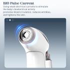FREYARA 3-in-1 Anti-Aging Face Nano Spray Beauty Device with MIFR Microcurrent and LED Blue Light, for Deep Infusion, Face Lift, Acne, Jawline Sculpt, Hydrate and Soothe