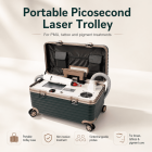 LASER FacialPure 4.0, Portable Small Trolley Case Non-invasive Laser Picosecond Machine, Tattoo Remover and Eyebrow Removal