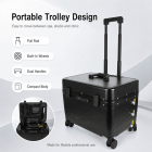 LASER FacialPure 5.0 Ultra, Brilliant Black Technology Double Handle Non-Invasive Laser Picosecond Machine with Pull Rod and Pulley, Eyebrow Remover and Tattoo Remover