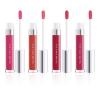 4in1 Matte Lipgloss, Waterproof, Long Lasting