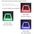 6 Color LED Light Therapy Facial Care Machine with Color Cycle, 178 Light Beads with Nano Steam Spray, Photodynamic PDT Light Beauty Instrument