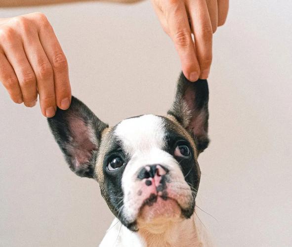 Hands&Feet Light Therapy