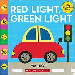 Red & Infrared Light Therapy Slippers