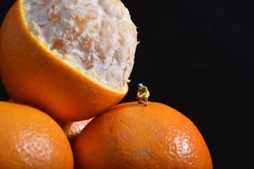 Medical device manufacturing process for microneedling equipment