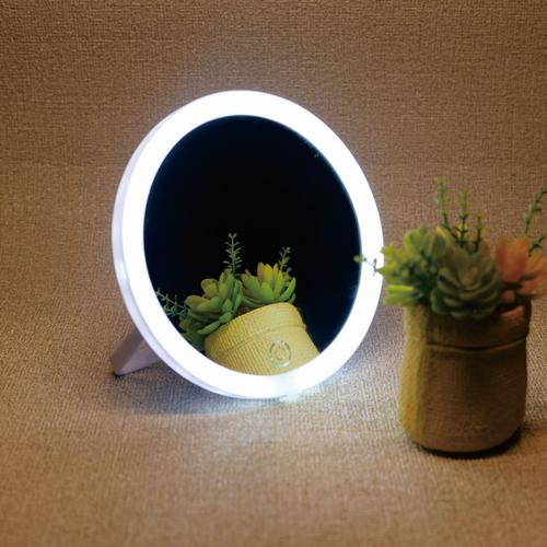 LED mirror portable