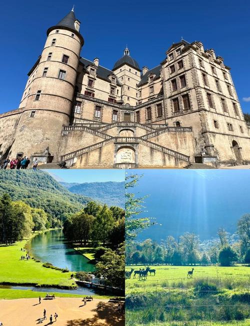 Professional dermapen treatment demonstration