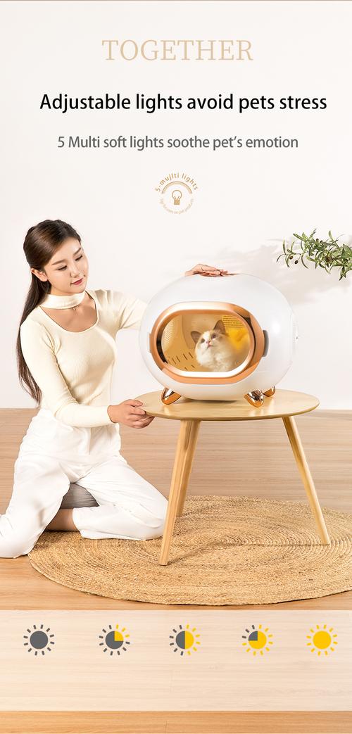 Pet dryer manufacturing workflow with quality checkpoints