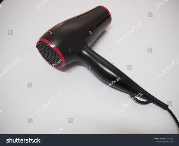 hair dryer for pets