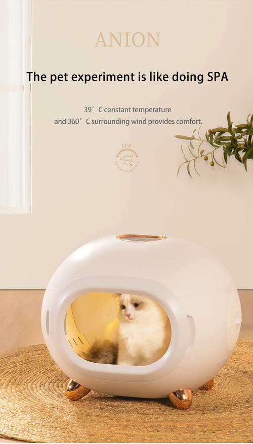 hair dryer for pets