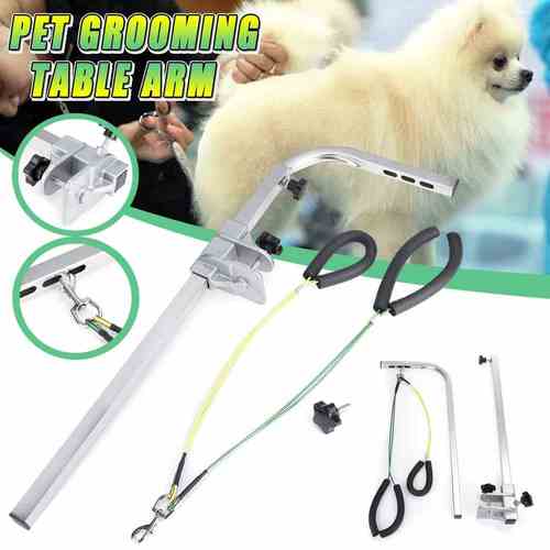 hair dryer for pets