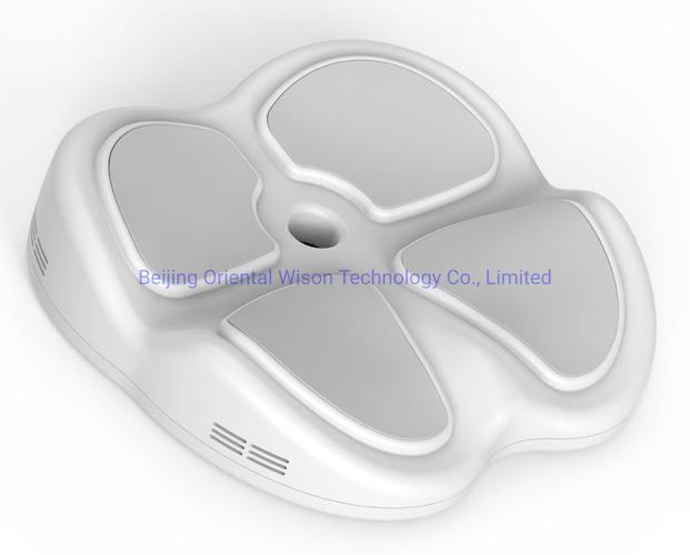 Physical therapy using electrical muscle stimulation