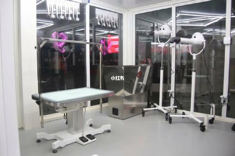 ladies grooming gadget