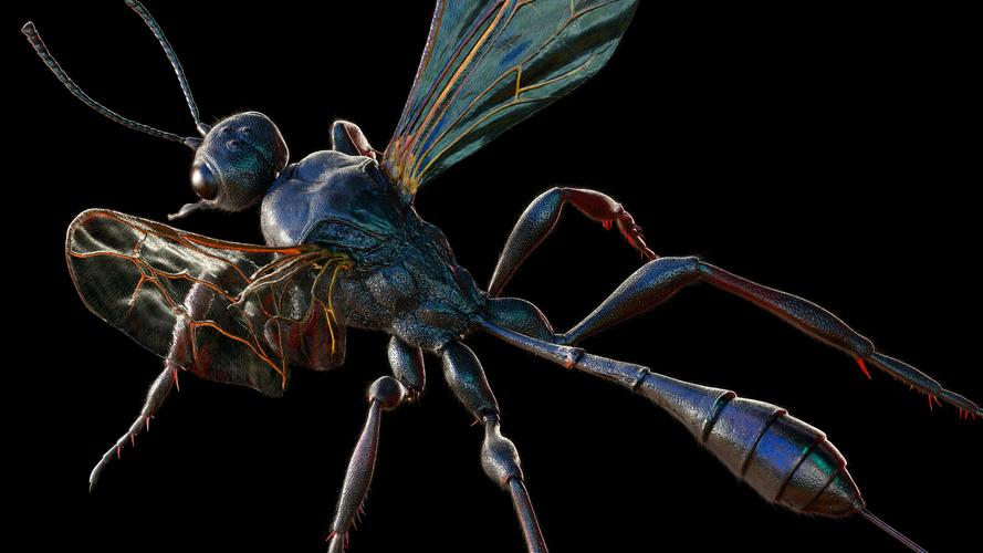 microcurrent muscle stimulator