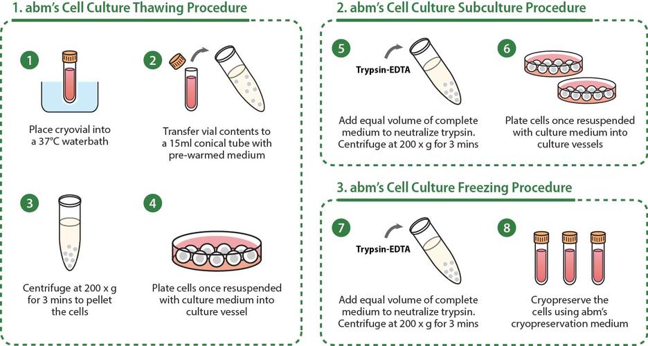 body light therapy for cellulite