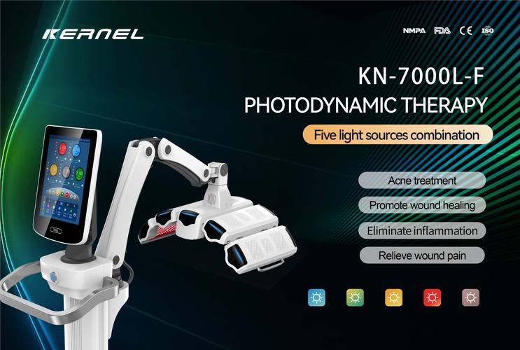 light therapy device for hands and feet