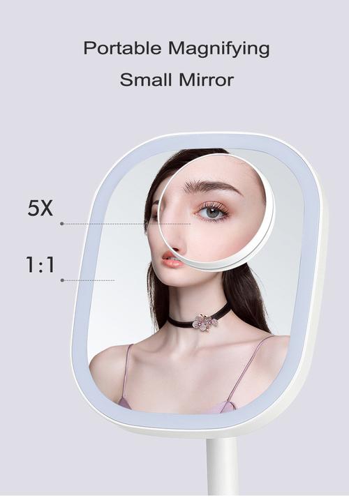 Professional makeup mirror with LED lights