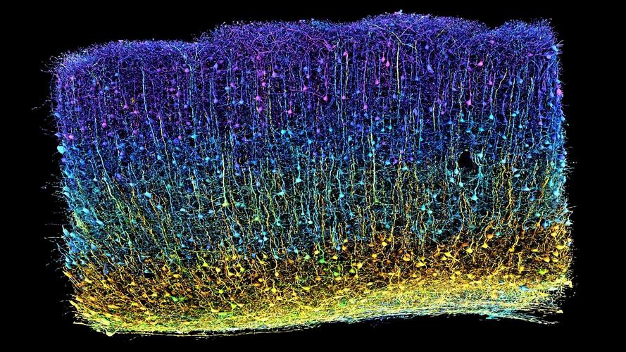 microneedling pen before and after