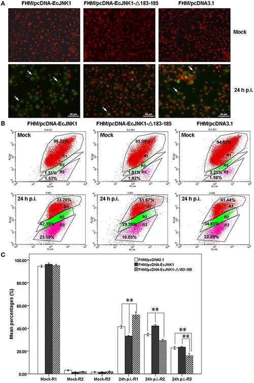 Professional hairstylist using 6 in 1 styler wand