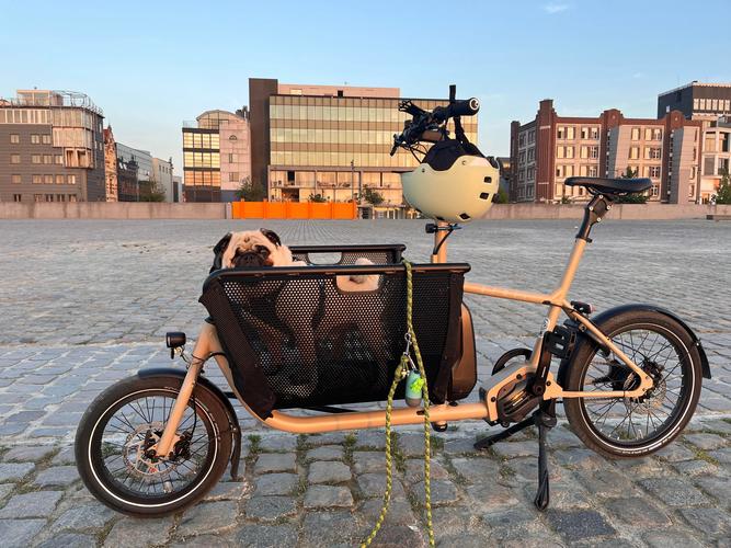 mini straightener for travel