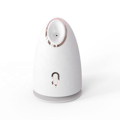 facial mist steamer